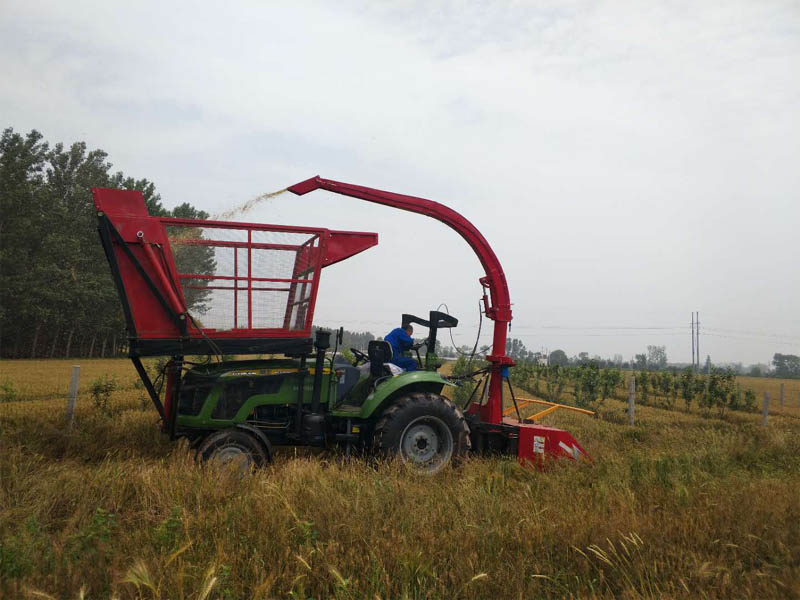 內蒙古客戶試機---廠區附近青儲小麥