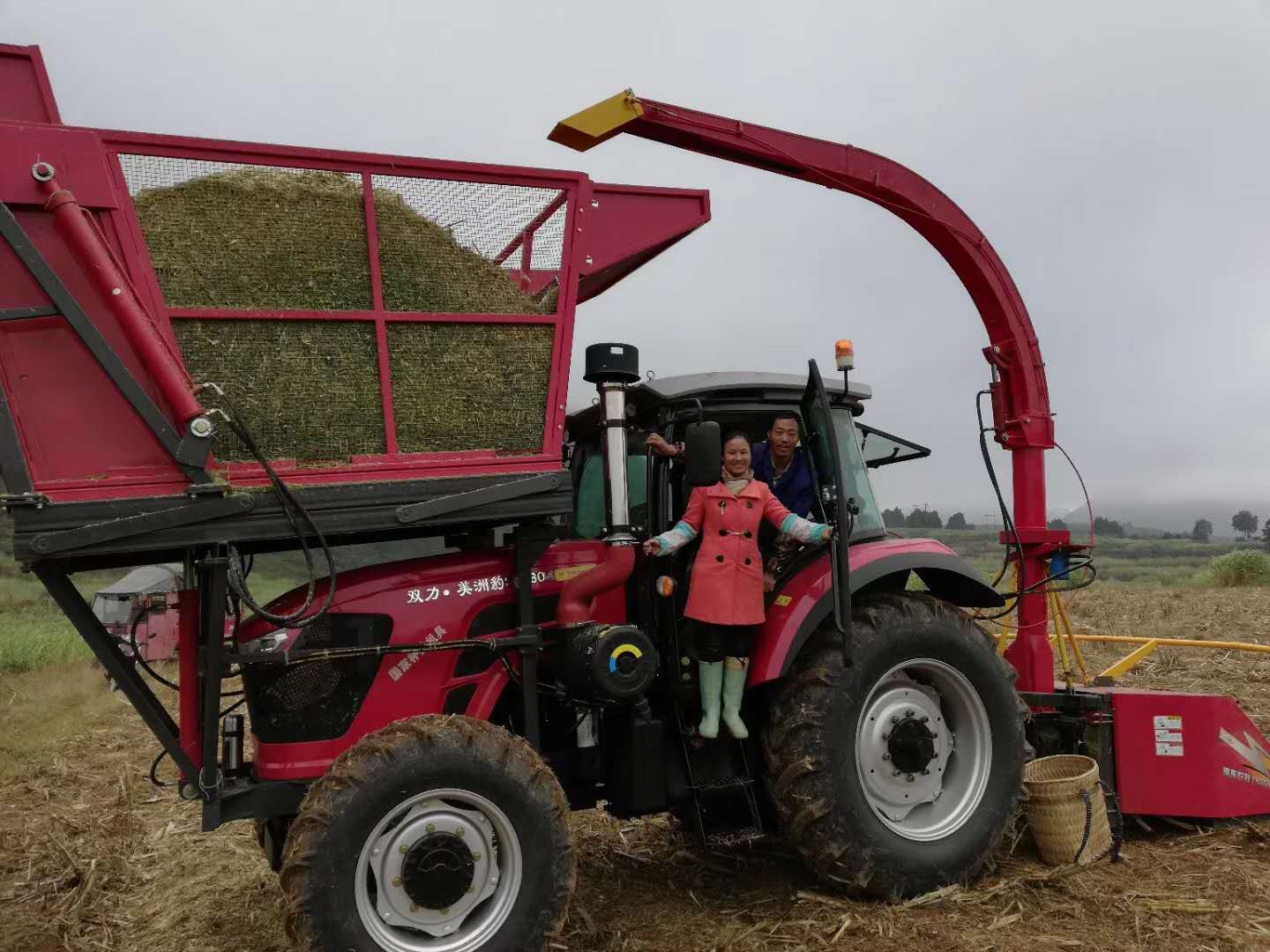 親們看過來--貴州客戶收割皇竹草滿臉洋溢著笑容